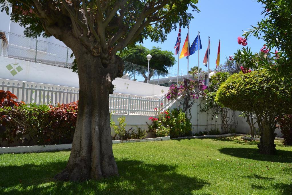 Apartamentos Don Quijote Playa del Ingles  Dış mekan fotoğraf